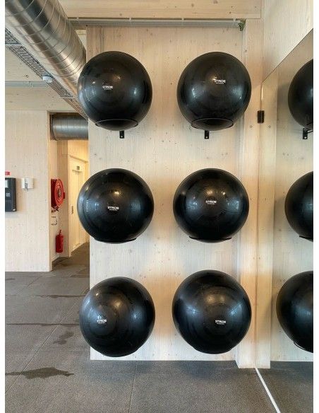 Vita Vibe Support mural pour exercice/yoga/ballons de stabilité – pour  ranger des ballons de 25 cm à 95 cm (2,4 m)