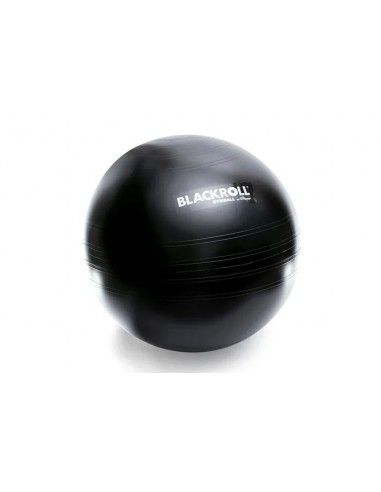 Blackroll Gym Ball 65 cm